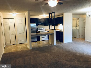 2110 White Hall Rd unit BD, Frederick, MD 21701 - photo 3