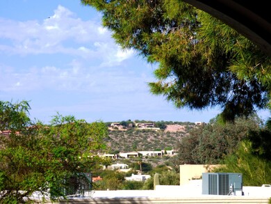 7 View from living room window
