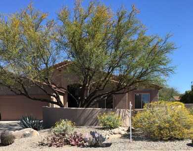 Majestic Shade Tree