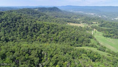 0 Lester Whitt Rd unit 1174337, Rutledge, TN 37861 - photo 3