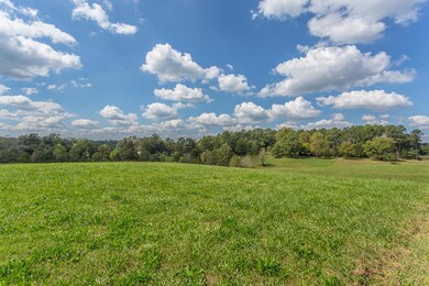 1415 McIntire Road-4