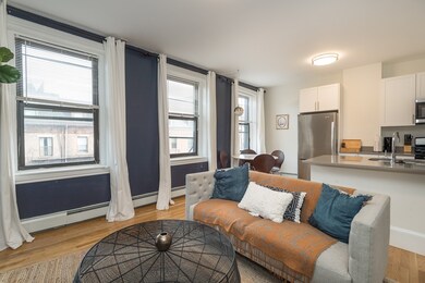 36 E Springfield St, Boston, MA 02118 - photo 5