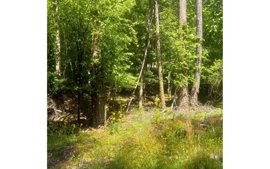 Additional View
