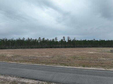 0 Tbd Midkiff Rd Lot 1 unit Lot 1, Longville, LA 70652 - photo 3