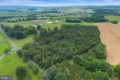 0 Polk Rd unit VASH2003832, Edinburg, VA 22824 - photo 7