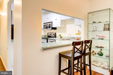 Sligo Station Condominium unit 219, Takoma Park, MD 20912 - photo 5