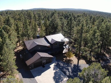 In the pines