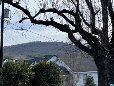 906 Stonehenge Ave, Charlottesville, VA 22902 - photo 2