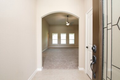 21223 Sunshine Meadow Dr, Hockley, TX 77447 - photo 4