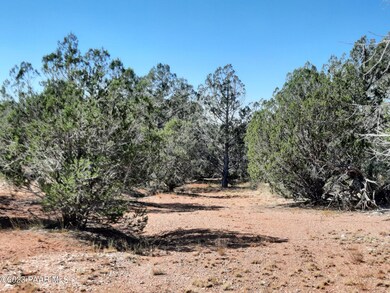 Lot 869 W Mystical Ln, Seligman, AZ 86337 - photo 5