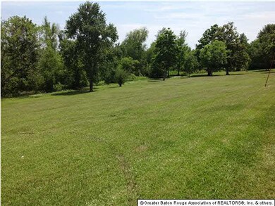 SIDE VIEW OF LOT