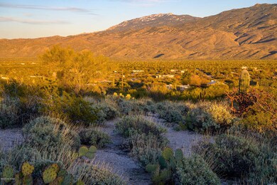 TBD S Pinto Place Parcel 2, Tucson, AZ 85748 - photo 4