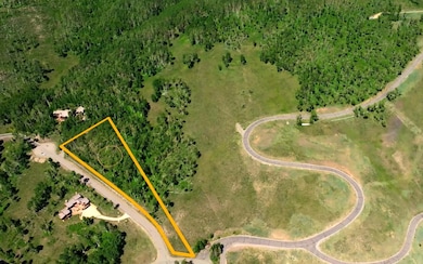 102 Cristinas Way unit 26, Telluride, CO 81435 - photo 6