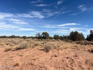 8362 Cupples Trail, Snowflake, AZ 85937 - photo 2