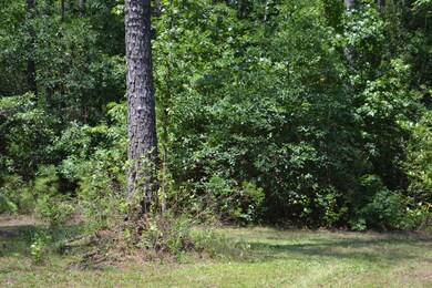 0 Holly Ridge unit 100175503, Holly Ridge, NC 28445 - photo 4