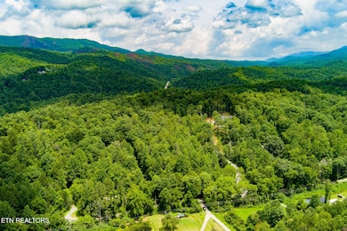 424 Tunis Rd, Pittman Center, TN 37876 - photo 3