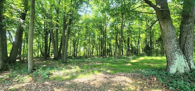 WOODED VIEW OUT PATIO/BACKYARD