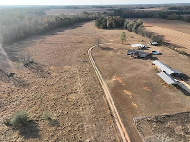 108 Peterson Ln, Blakely, GA 39823 - photo 6