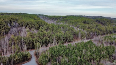 8648 Groundhog Rd, Adger, AL 35006 - photo 3