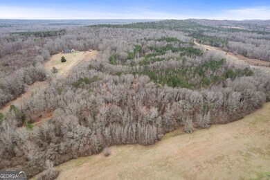 34.61 ACRES Walker Rd, Meansville, GA 30256 - photo 6