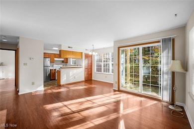 1110 Stoney Run Trail unit 1110, Broadview Heights, OH 44147 - photo 3