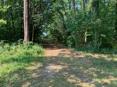 0 Sandridge Rd, Sawyer, MI 49125 - photo 4