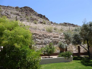 Backyard View to Mountain