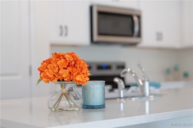 3390 W Hampshire Blvd, Citrus Springs, FL 34433 - photo 3