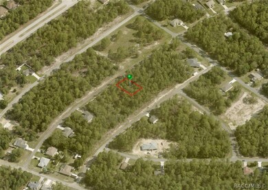 9161 N Marcus Way, Citrus Springs, FL 34433 - photo 4