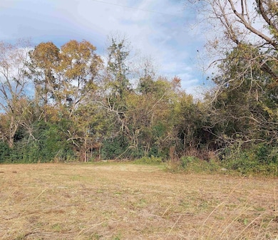 lot 1 Davis Ln, Mullins, SC 29574 - photo 5