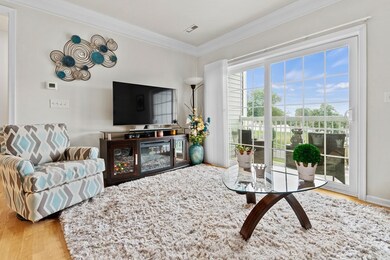 1 Francis Dr unit 302, Andover, MA 01810 - photo 7