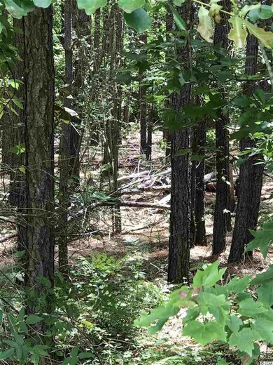 Lot 3 Chow Ln, Conway, SC 29526 - photo 3