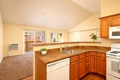 511RiverviewDr#1408_DASH007