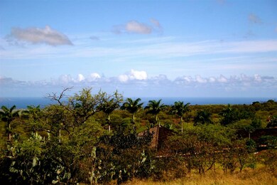 North Shore Views