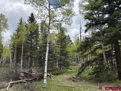 TBD Adams St, Jasper, CO 81144 - photo 3