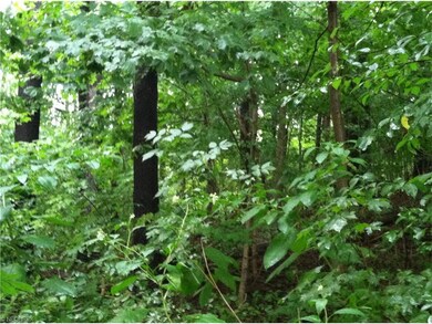 16283 Millersburg Rd, Danville, OH 43014 - photo 5