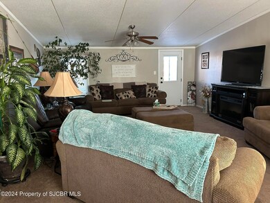 44 Road 3957, Farmington, NM 87401 - photo 5