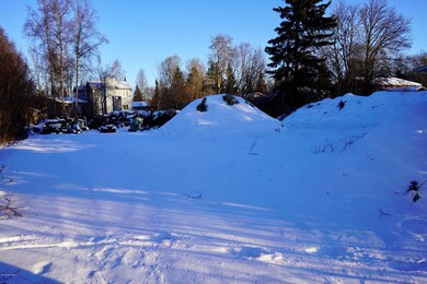 ORG_DSC00347