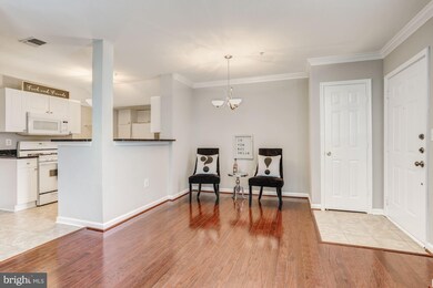 4534 Superior Square unit 4534, Fairfax, VA 22033 - photo 6
