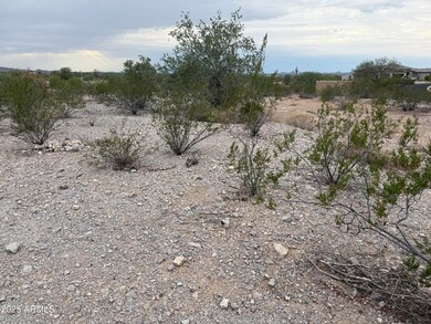 11222 S Wilson Ln unit 38, Goodyear, AZ 85338 - photo 4