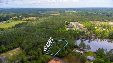 3-web-or-mls-28 E Michaelangelo Rd Aeria