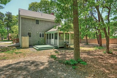 15_Backyard_IMG_2497