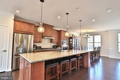 25009 Cambridge Hill Terrace, Chantilly, VA 20152 - photo 6