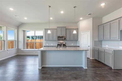 728 Ruellia St, Weatherford, TX 76086 - photo 7