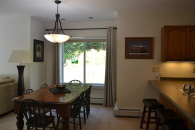 206 Stoney Path Rd unit 605, Jay, VT 05859 - photo 6