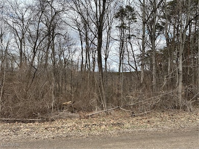 0 Fisher Ridge Rd, Barlow Township, OH 45729 - photo 3