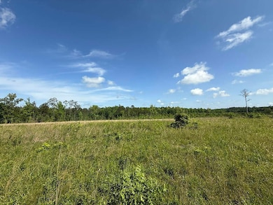 1331 Coal Bluff Rd, Lena, MS 39094 - photo 6