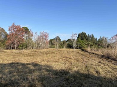 0 88th St, Sebastian, FL 32958 - photo 4