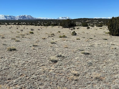 Lot 93 Twin Lakes Ranch, Walsenburg, CO 81089 - photo 3