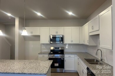 6009 Jasmine Branch Rd, Charlotte, NC 28216 - photo 4